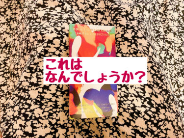 これはなんでしょうか？