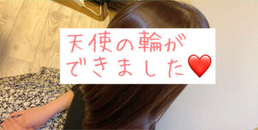 年1回のお手入れ