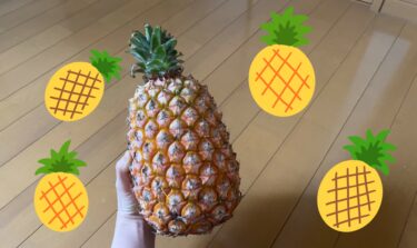 朝フルーツ始めました🍍