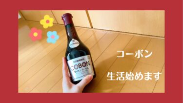 コーボン始めました👍