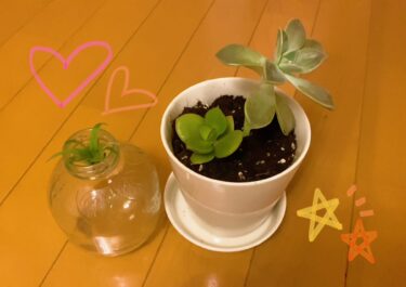 アートとは