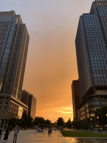 今日の🌇