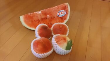 フルーツにハマっています🍑