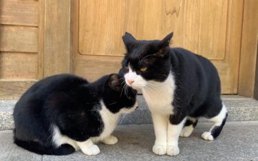 セラピストになってから変わったこと