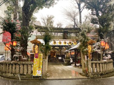 今年もよろしくお願いします😊