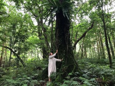 屋久島帰りです♪
