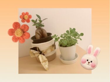 6月は休息と準備