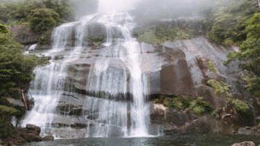 大自然から帰ってきました