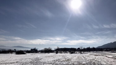 あけましておめでとうございます✨