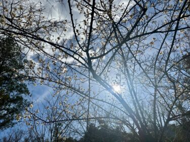 12月の振り返り