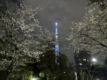 1月〜3月の振り返り